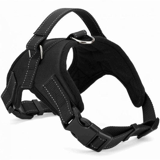Adjustable Dog Harness